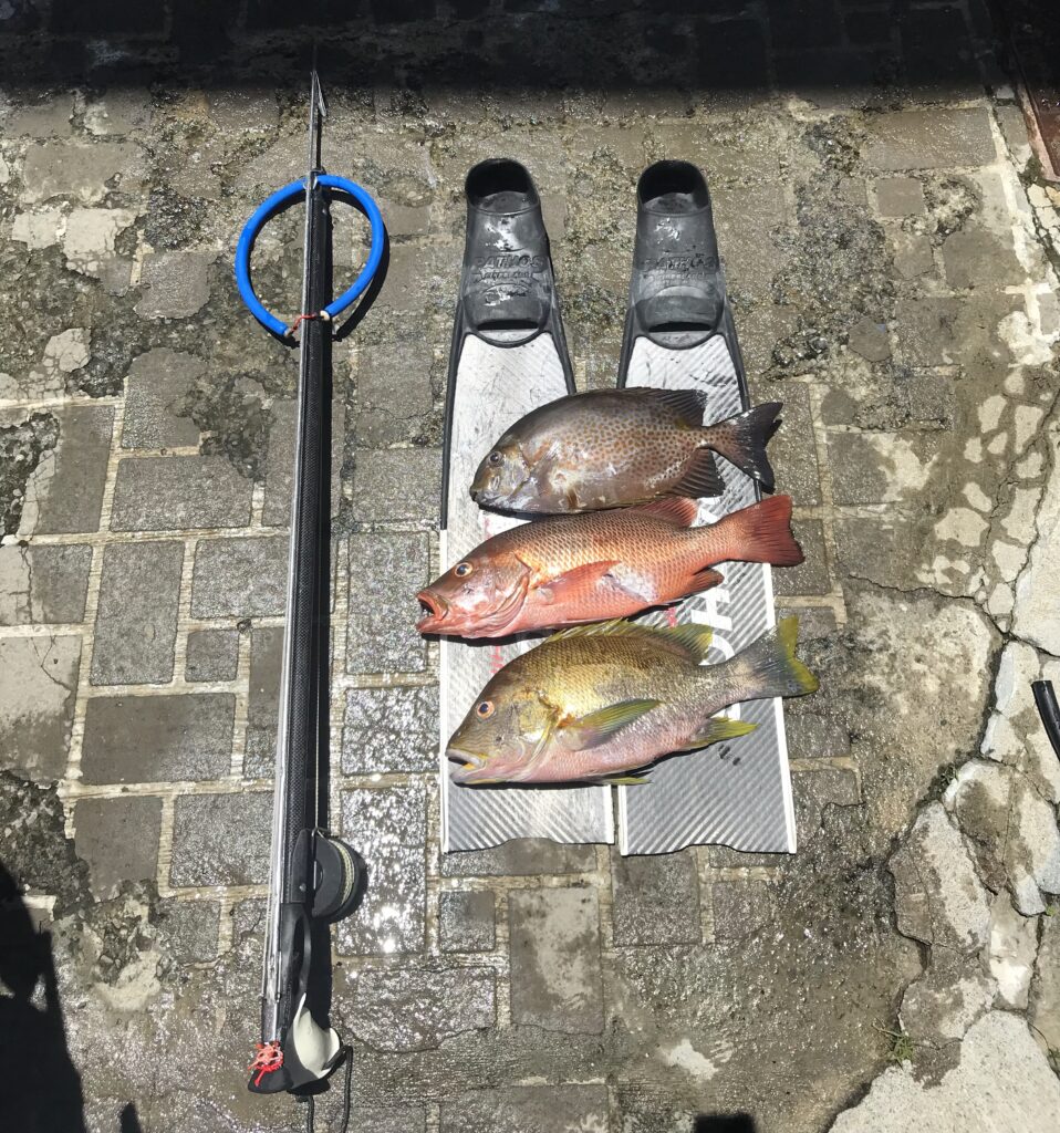 漁獵漁獲